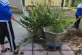 Đoàn thanh niên thực hiện phong trào xanh-sạch-đẹp!
