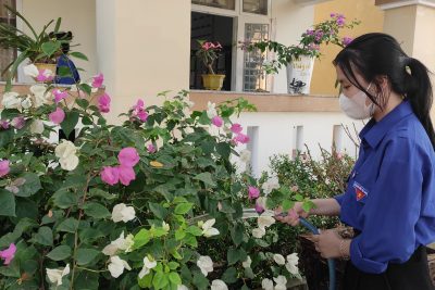 Hoạt động chăm sóc cảnh quan nhà trường của Chi đoàn trường